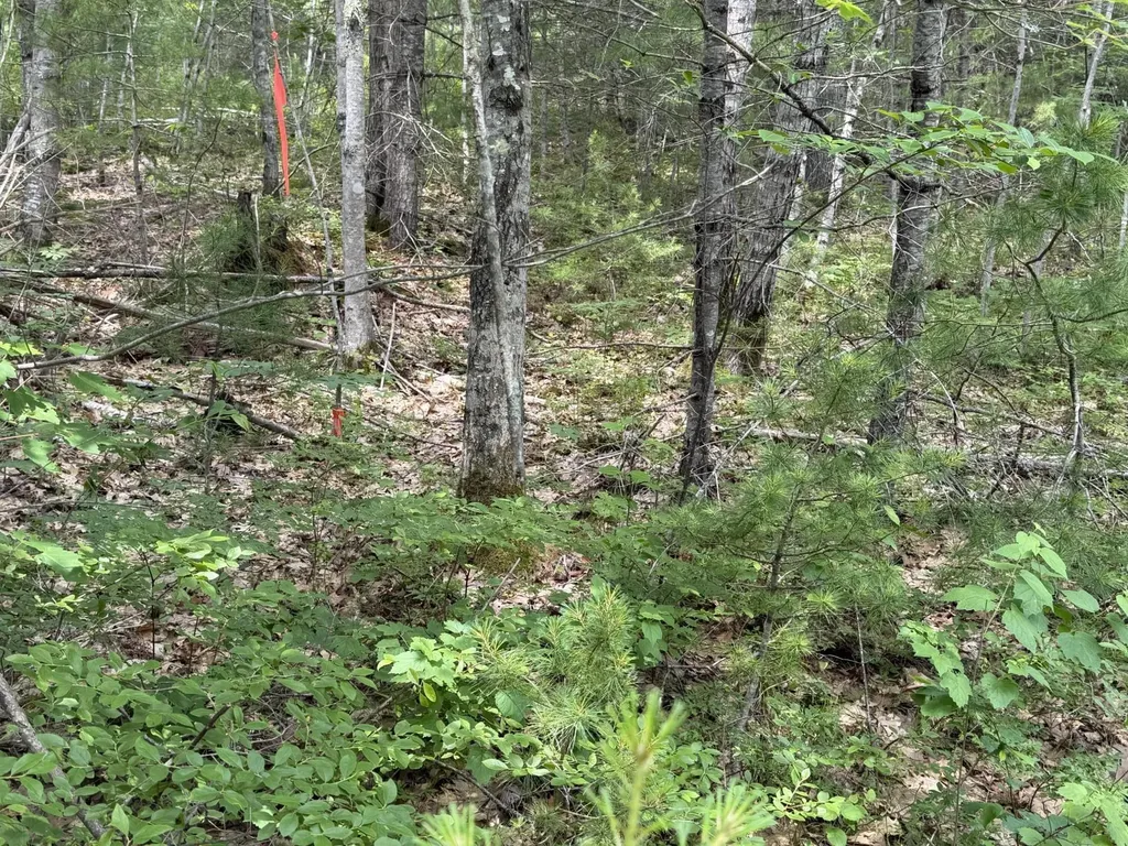 Lot 068011 Shore Road Bremen ME 04551
