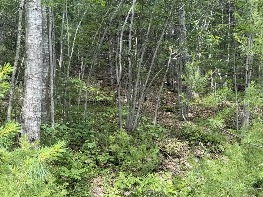 Lot 068011 Shore Road Bremen ME 04551