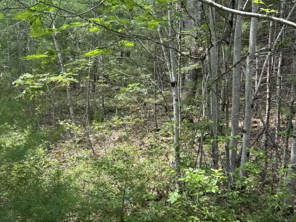 Lot 068011 Shore Road Bremen ME 04551