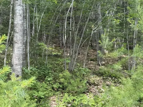 Lot 068011 Shore Road Bremen ME 04551