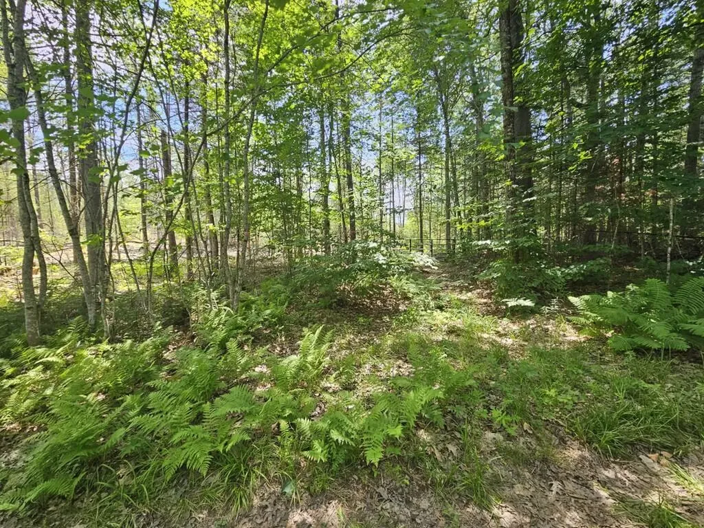 19A Quaker Ridge Road Leeds ME 04263