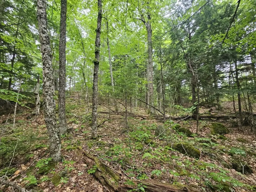 19A Quaker Ridge Road Leeds ME 04263