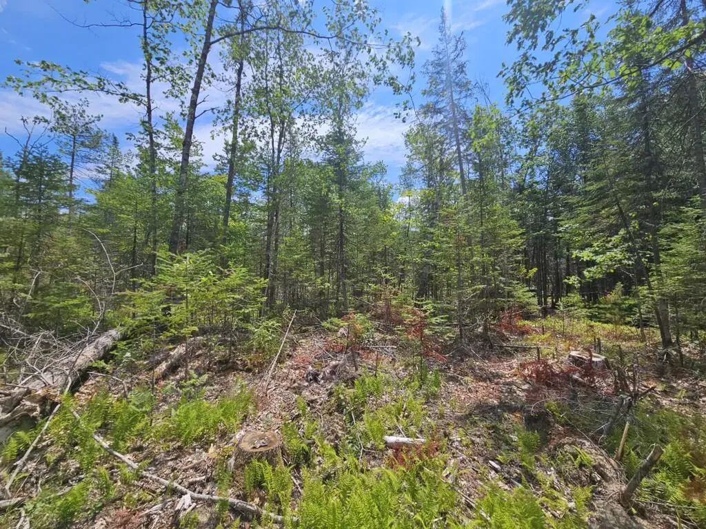 19A Quaker Ridge Road Leeds ME 04263