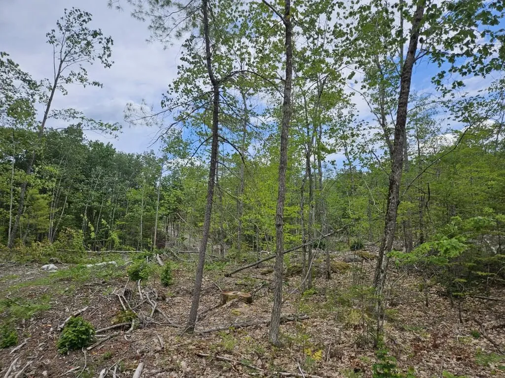 19A Quaker Ridge Road Leeds ME 04263