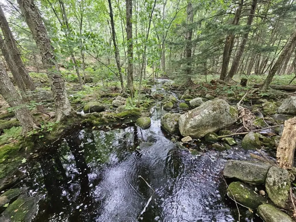 19A Quaker Ridge Road Leeds ME 04263