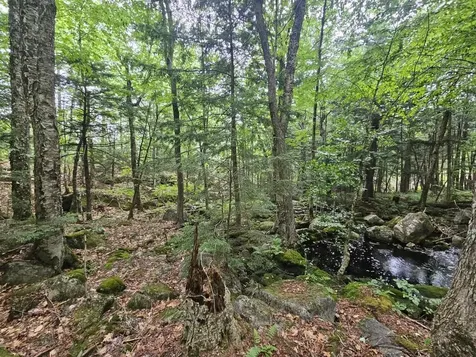 19A Quaker Ridge Road Leeds ME 04263