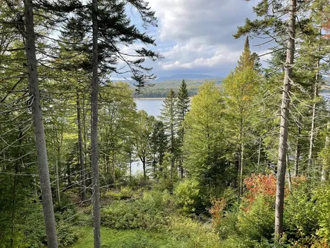 11 Alca Heights Road Parkertown Twp ME 04970