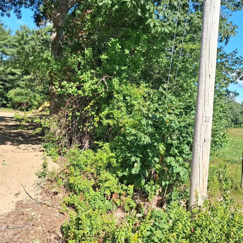 1152 W Alna Road Alna ME 04535