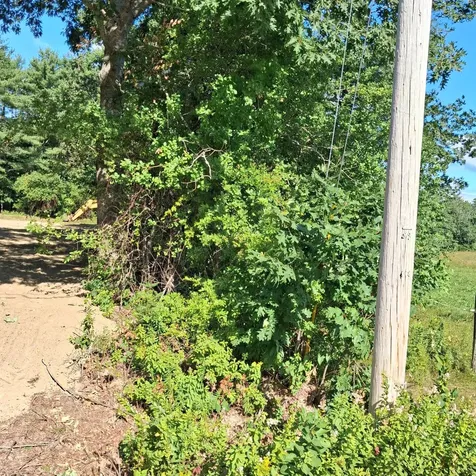 1152 W Alna Road Alna ME 04535