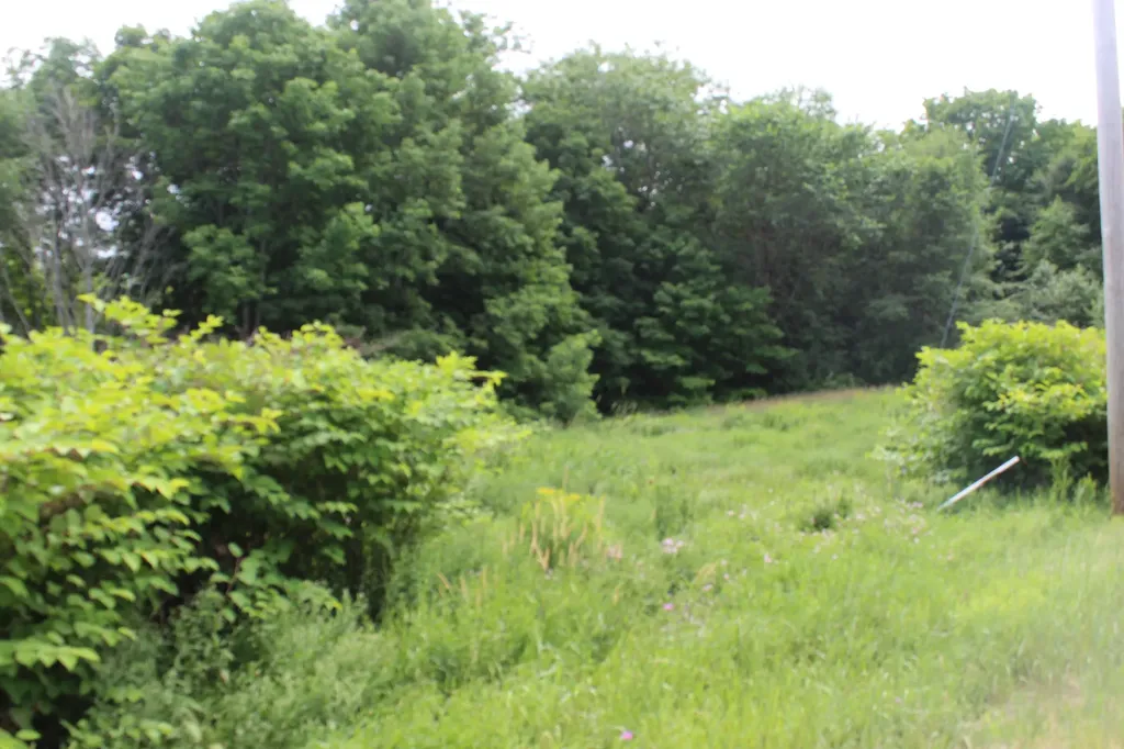 1093 Aroostook Scenic Highway Moro Plt ME 04780