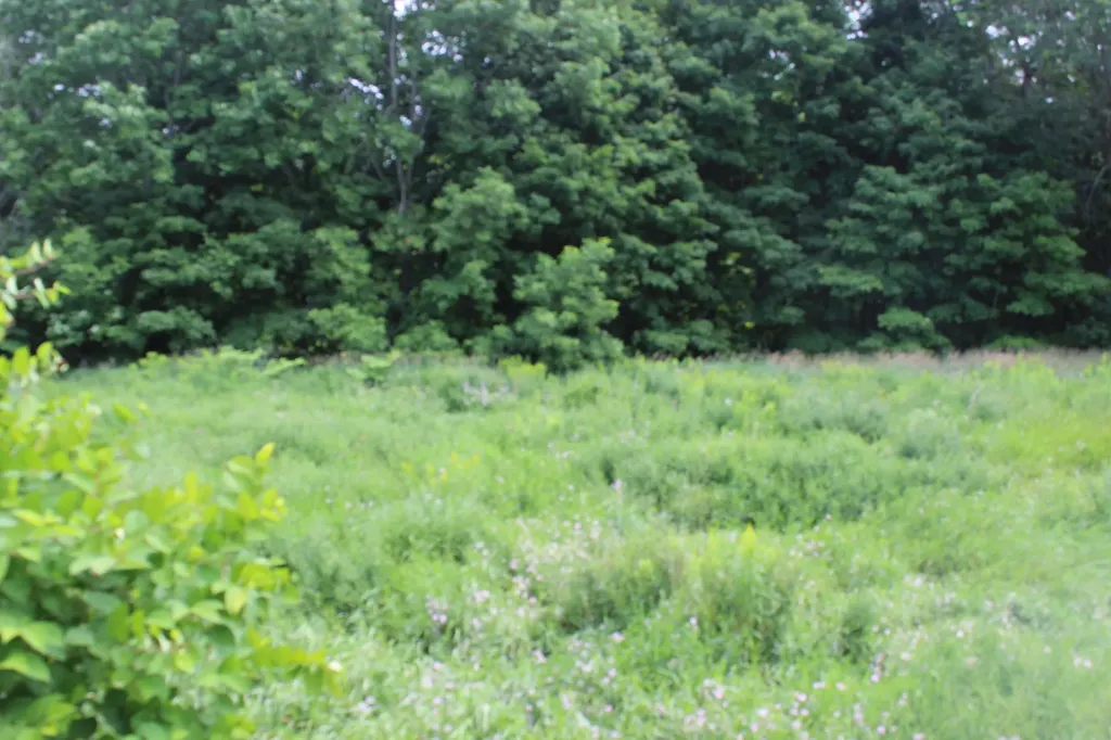 1093 Aroostook Scenic Highway Moro Plt ME 04780
