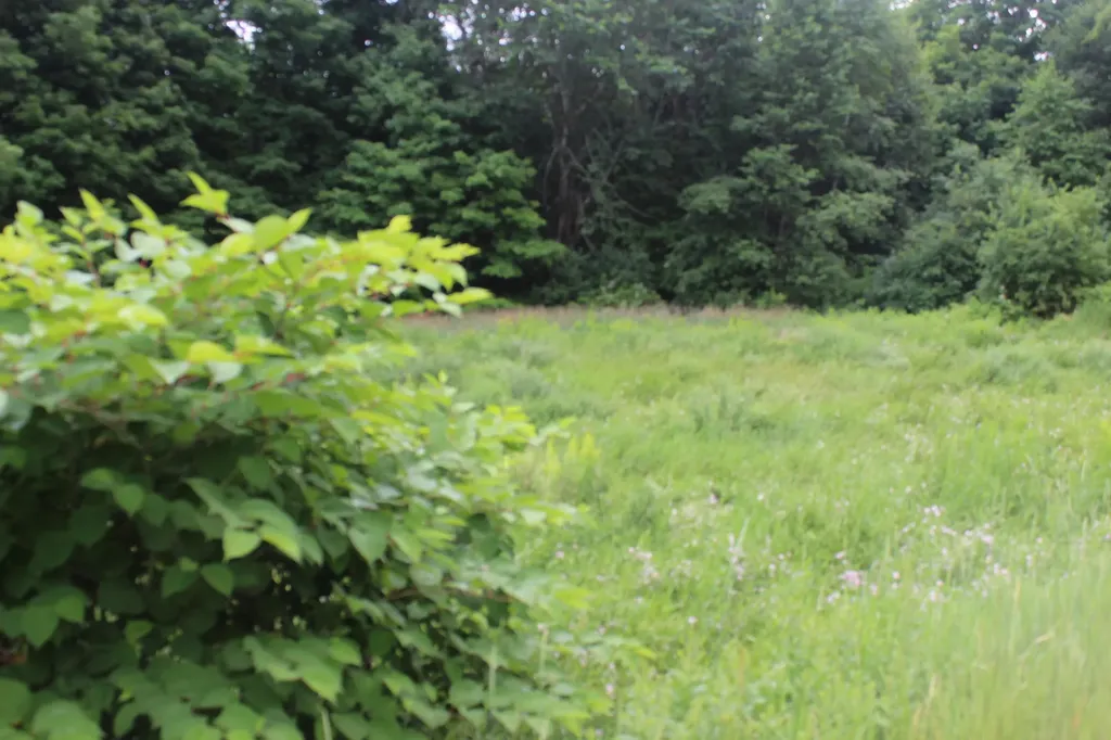 1093 Aroostook Scenic Highway Moro Plt ME 04780