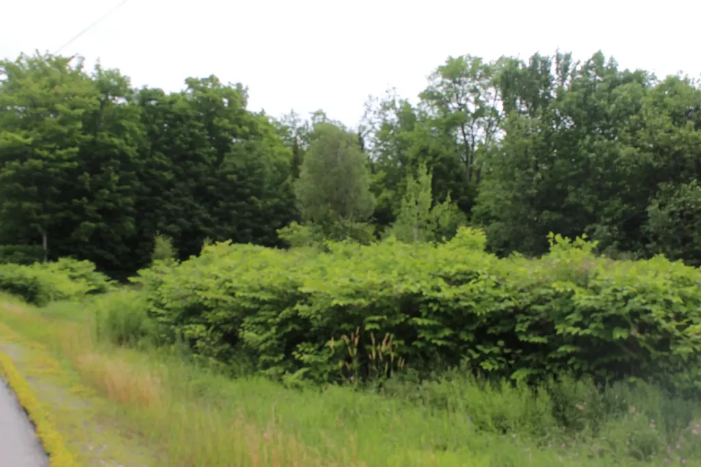 1093 Aroostook Scenic Highway Moro Plt ME 04780