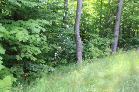 1093 Aroostook Scenic Highway Moro Plt ME 04780