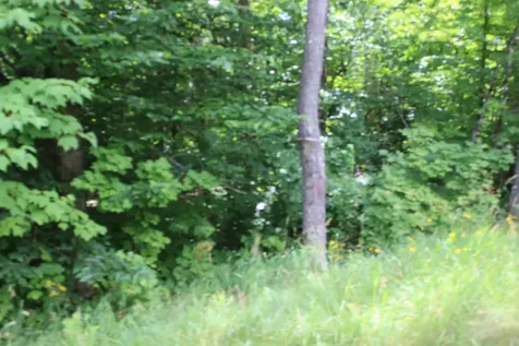 1093 Aroostook Scenic Highway Moro Plt ME 04780