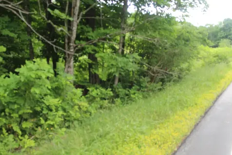 1093 Aroostook Scenic Highway Moro Plt ME 04780