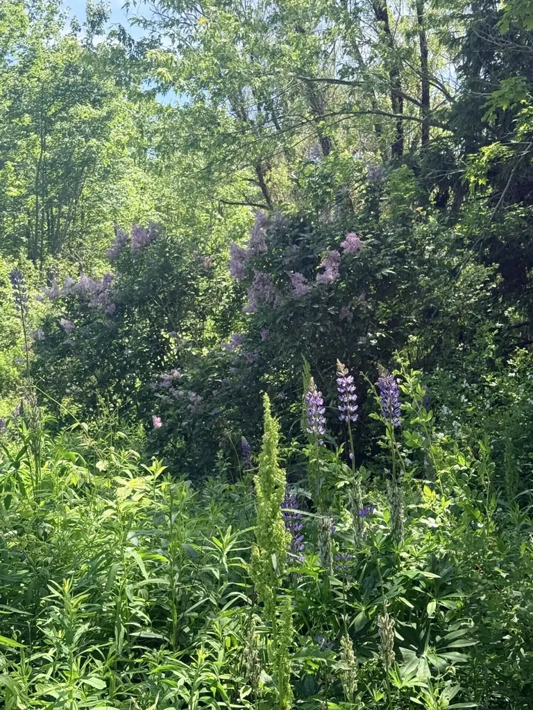 1769 Washington Road Waldoboro ME 04572