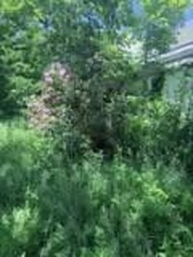 1769 Washington Road Waldoboro ME 04572