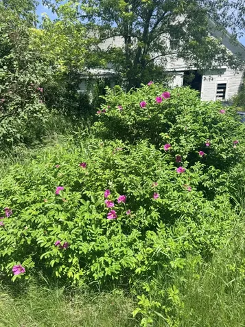 1769 Washington Road Waldoboro ME 04572