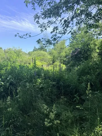 1769 Washington Road Waldoboro ME 04572