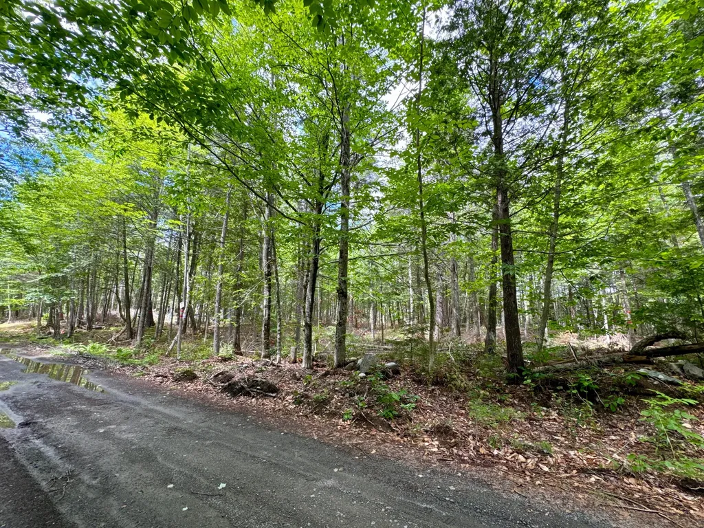 77 Orchard Road Guilford ME 04443