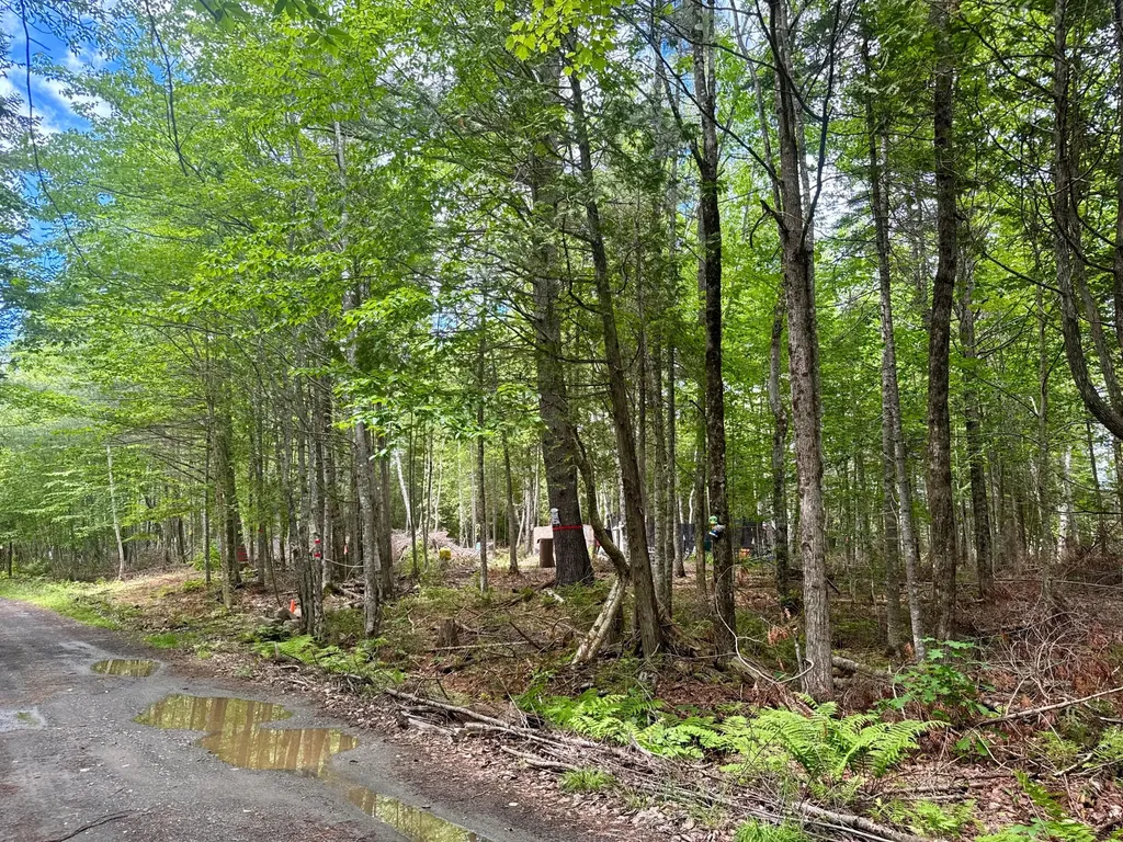 77 Orchard Road Guilford ME 04443