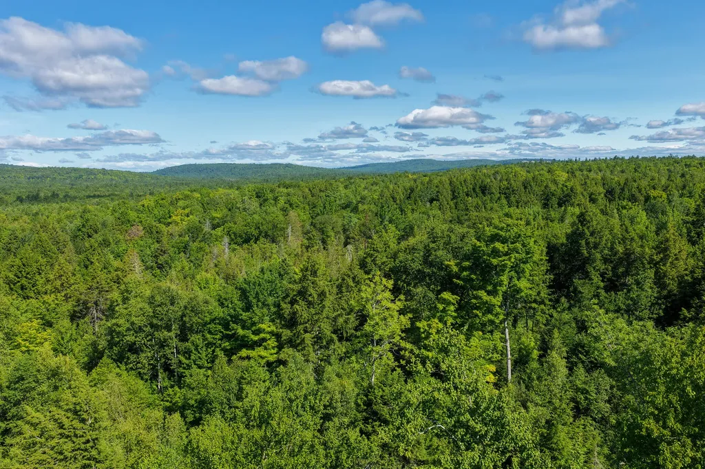 53 Timberview Drive Burlington ME 04417