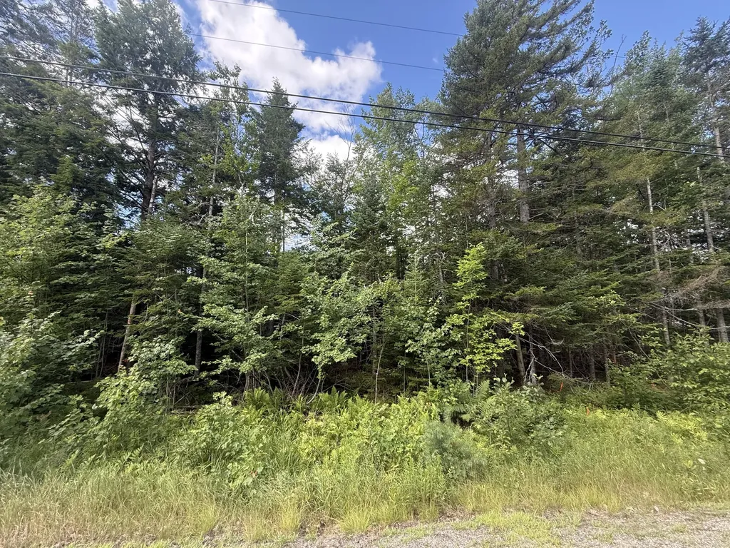 Lot #6 Russell Hill Road Bucksport ME 04416