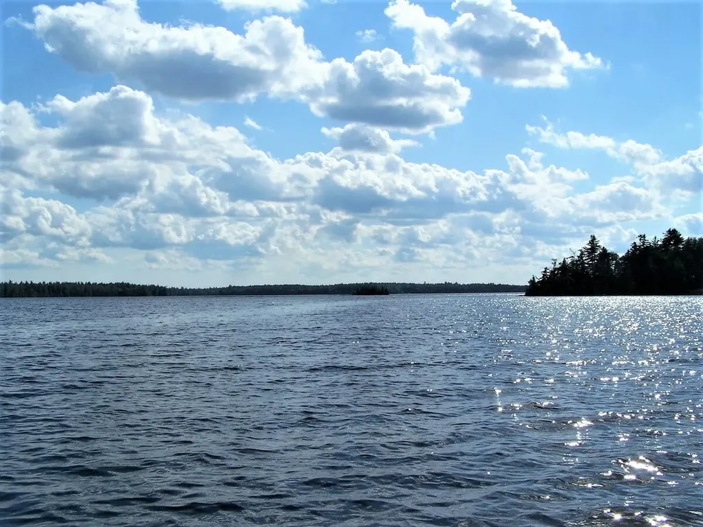 Wa 4 L 8.7 Big Lake Landing Road Grand Lake Stream Plt ME 04637