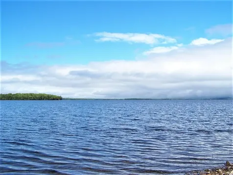 Wa 4 L 8.7 Big Lake Landing Road Grand Lake Stream Plt ME 04637