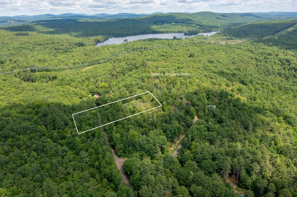 Lot 23d Toddy Pond Road Swanville ME 04915