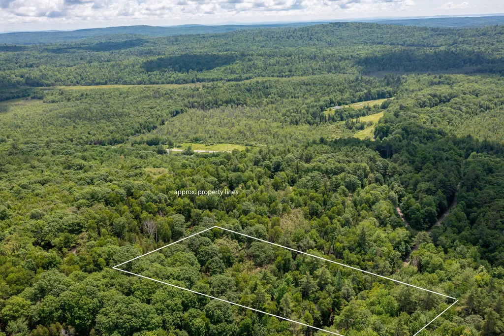 Lot 23d Toddy Pond Road Swanville ME 04915
