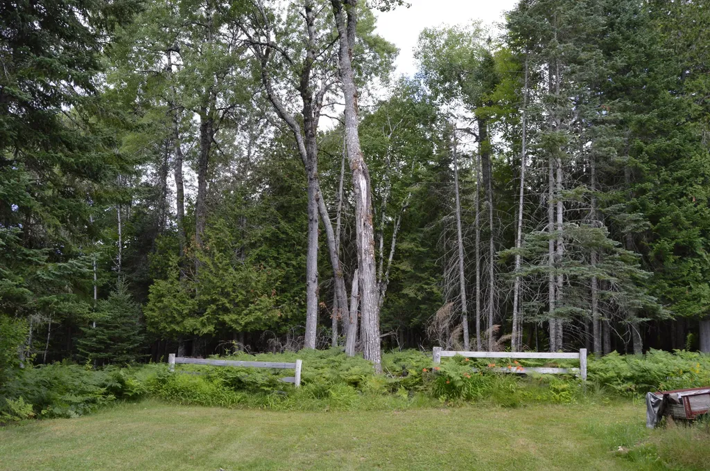 8 Tote Road Rangeley ME 04970