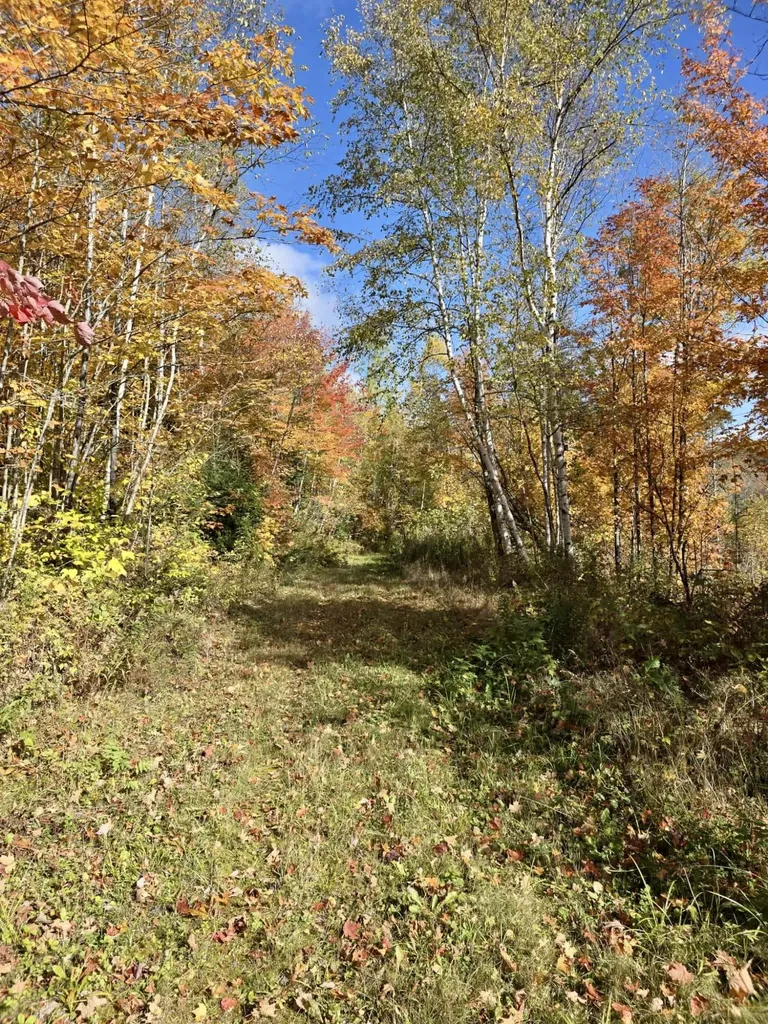 103 Rossignol Road Saint Agatha ME 04772