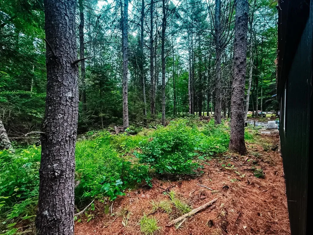 2539 Edinburg Road Argyle Twp ME 04468