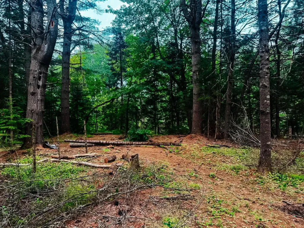 2539 Edinburg Road Argyle Twp ME 04468