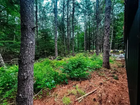 2539 Edinburg Road Argyle Twp ME 04468