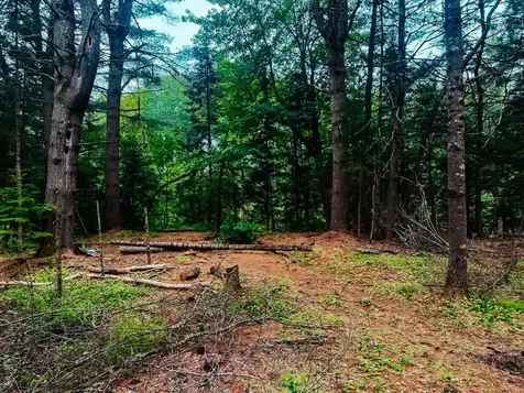 2539 Edinburg Road Argyle Twp ME 04468