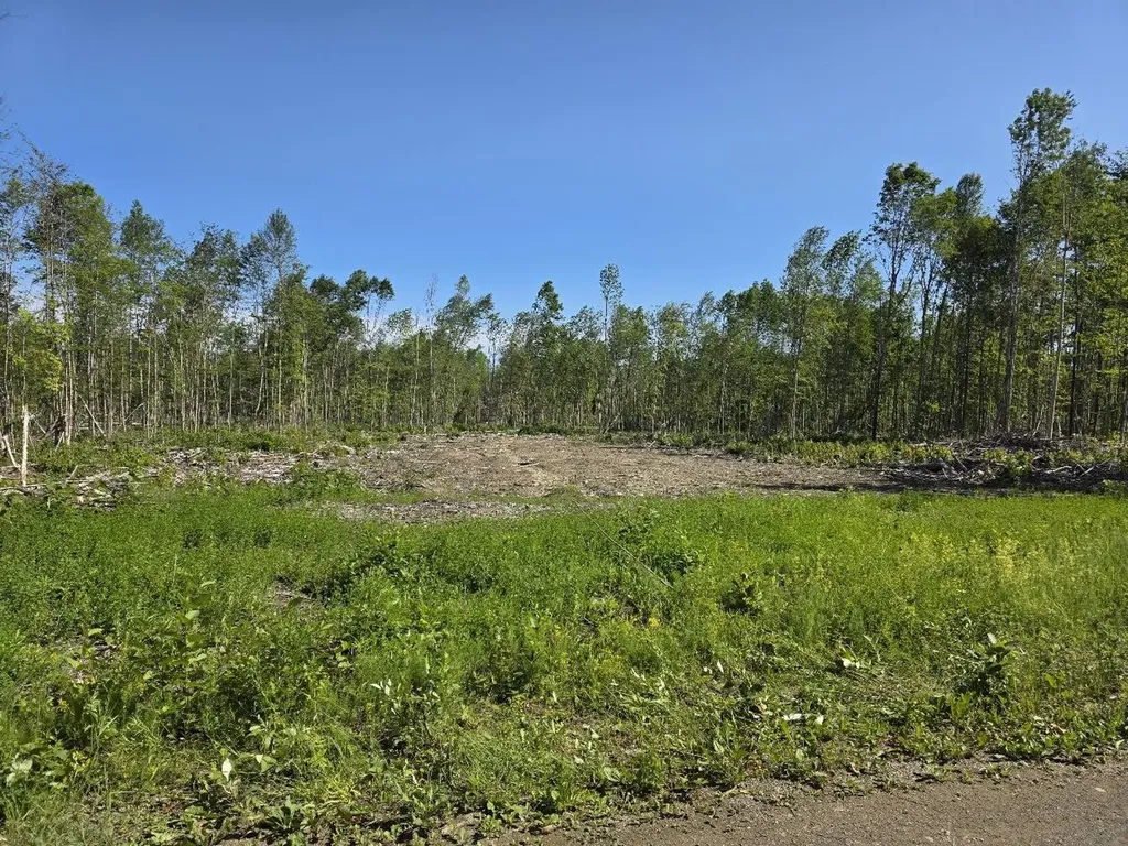 Lot 26e Williams Road Amity ME 04471