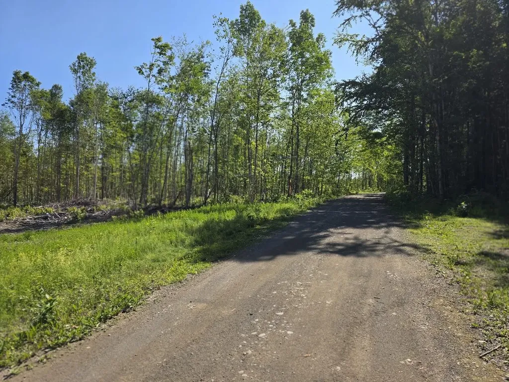 Lot 26e Williams Road Amity ME 04471