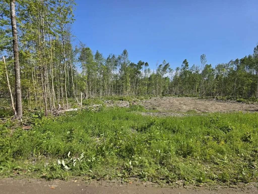 Lot 26e Williams Road Amity ME 04471