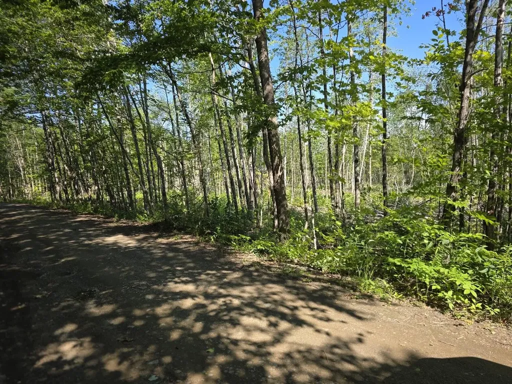Lot 26e Williams Road Amity ME 04471