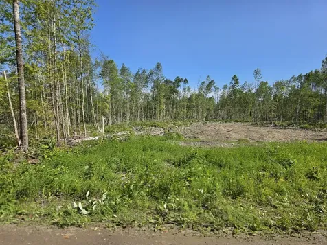 Lot 26e Williams Road Amity ME 04471