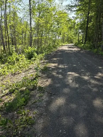 Lot 26e Williams Road Amity ME 04471