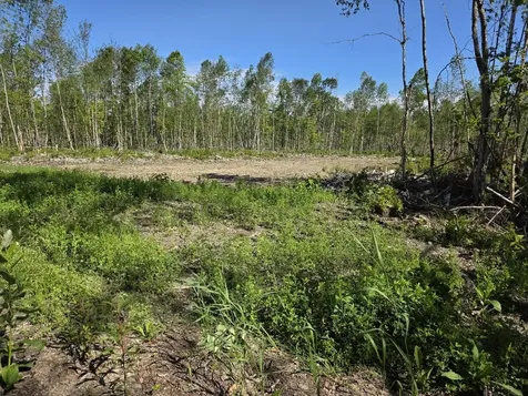 Lot 26e Williams Road Amity ME 04471