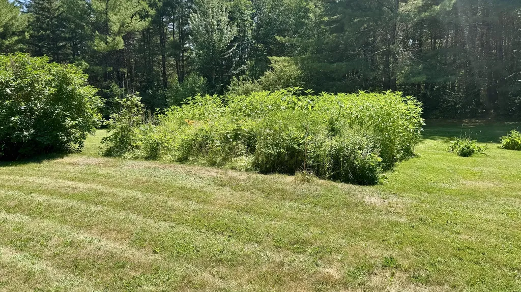 539 King Street Marion Twp ME 04628