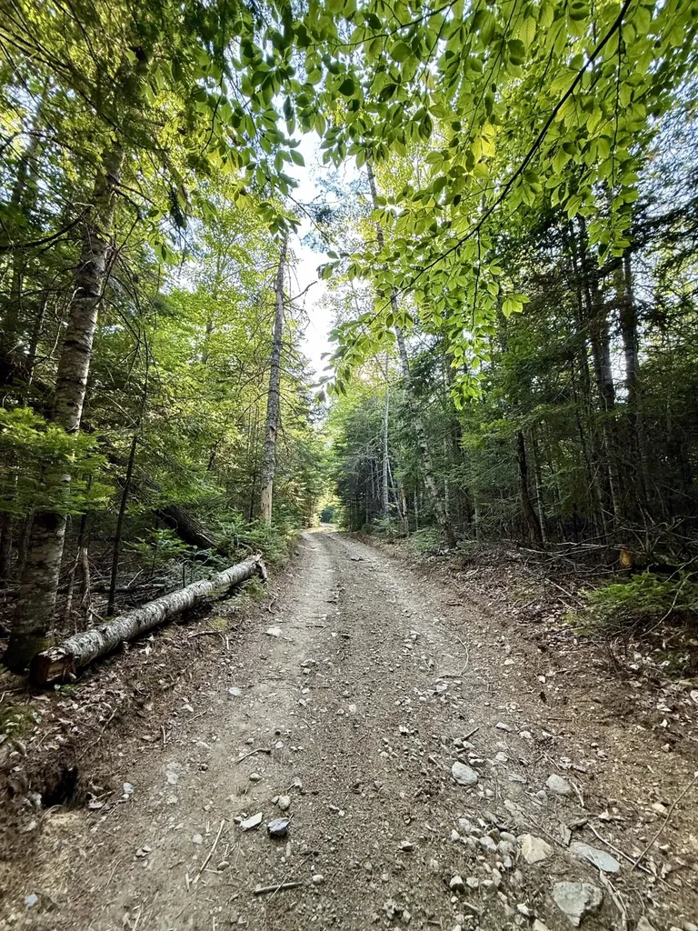 Tbd Democrat Ridge Road Talmadge ME 04492