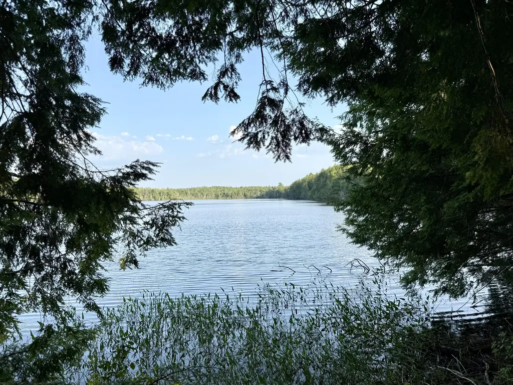 Tbd Democrat Ridge Road Talmadge ME 04492