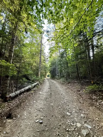 Tbd Democrat Ridge Road Talmadge ME 04492