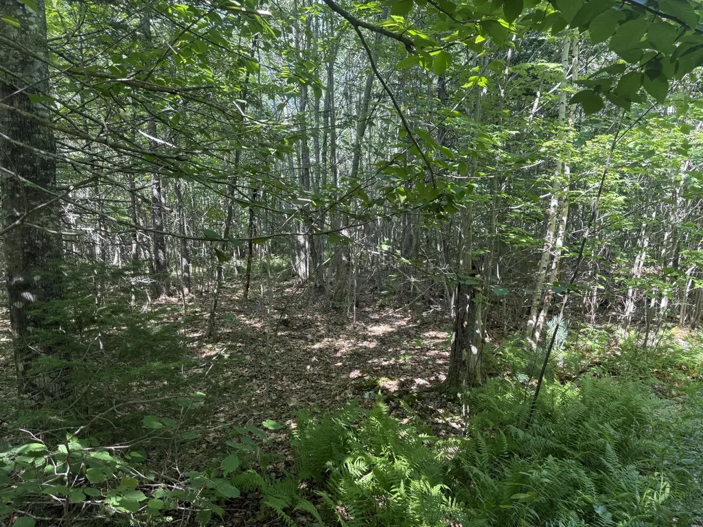 5 Black Road N Searsport ME 04974